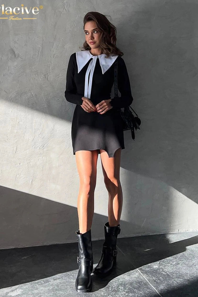 Elegant Long Sleeve Mini Dress