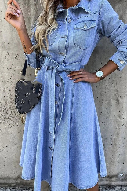 Elegant Long Sleeve Midi Dress