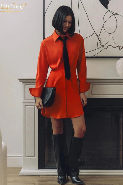 Elegant Long Sleeve Mini Dress