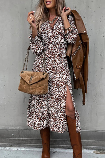 Floral Print V-Neck Long Sleeve Maxi Dress