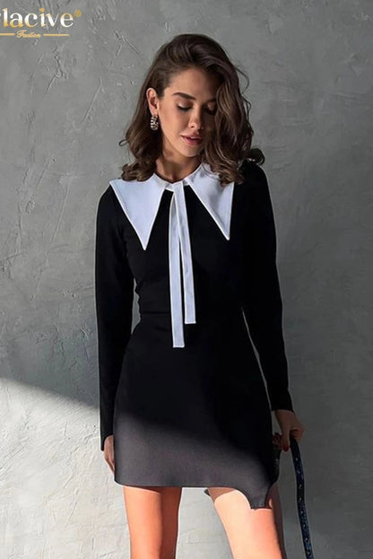 Elegant Long Sleeve Mini Dress