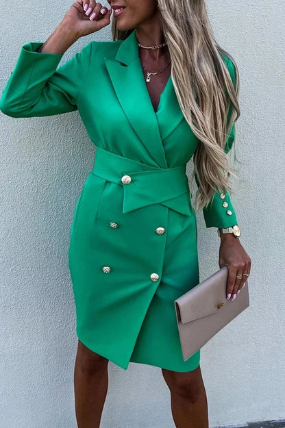 Long Sleeve V-Neck Midi Dress