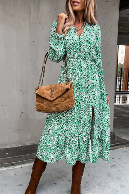 Floral Print V-Neck Long Sleeve Maxi Dress