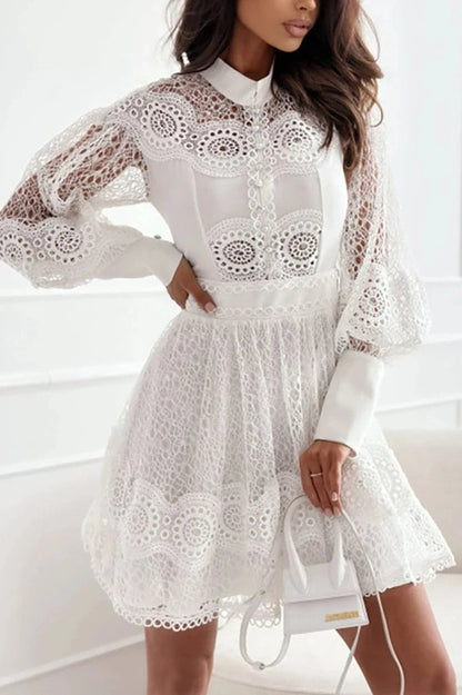 Elegant Puff Long Sleeve Mini Dress