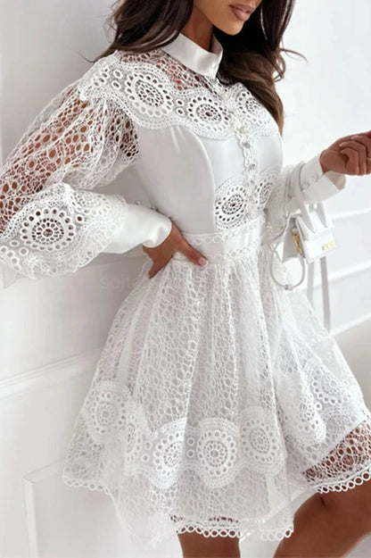 Elegant Puff Long Sleeve Mini Dress