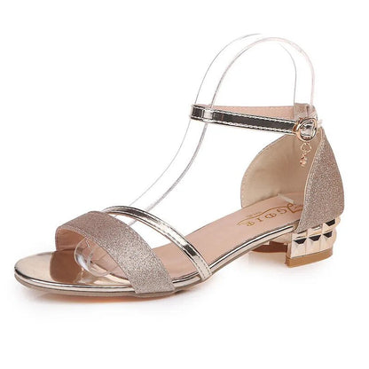 Women's Fashion Ankle Strap Low Heels Sandals GOMINGLO