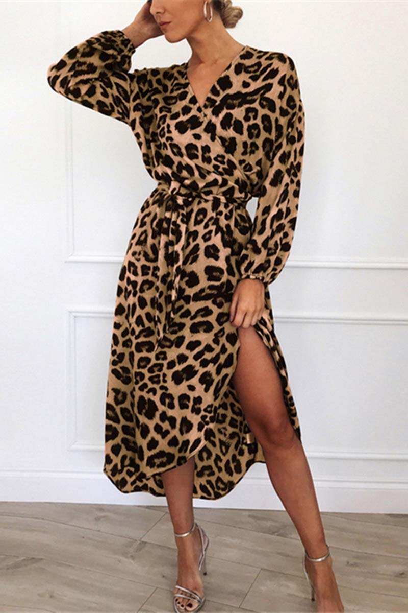 Florcoo V Neck Sexy Leopard Dress（4 colors）